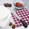 Nuga spaatliga, tera otse roostevabast terasest 255 mm - Hygiplas - Fourniresto