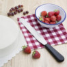 Nuga spaatliga, tera otse roostevabast terasest 255 mm - Hygiplas - Fourniresto