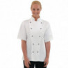 Kokakas Chicago lühikeste varrukatega valge XS suurus - Whites Chefs Clothing - Fourniresto
