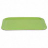 Serveerimisalus polüestrist Trapets GN 500x325mm Roheline - Roltex - Fourniresto