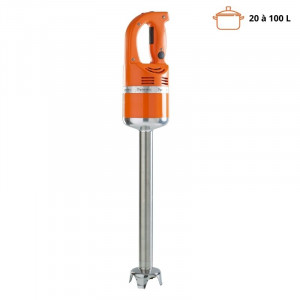 Sukelduv segisti Master MX 2000 Standard - FourniResto.com