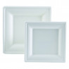 Ruudukujuline taldrik suhkruroost - 200 x 200 mm - 50 tk komplekt