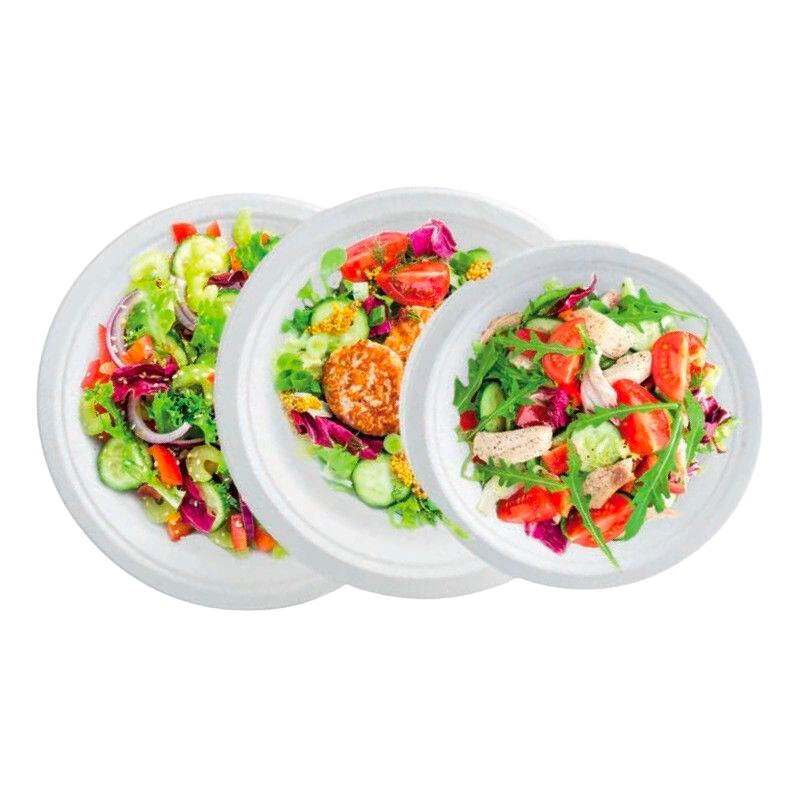 Assiette Ronde en Bagasse - 230 x 20,6 mm - Lot de 50 Assiette Ronde en Bagasse - 230 x 20,6 mm - Lot de 50